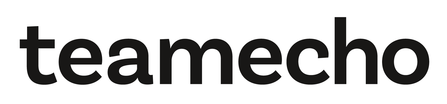 teamecho logo